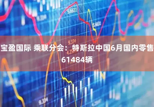 宝盈国际 乘联分会：特斯拉中国6月国内零售61484辆