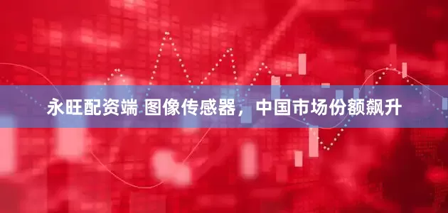 永旺配资端 图像传感器，中国市场份额飙升