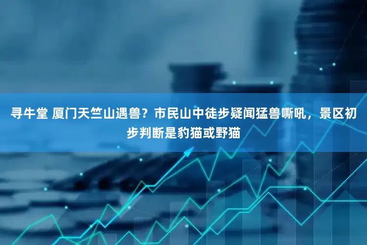 寻牛堂 厦门天竺山遇兽？市民山中徒步疑闻猛兽嘶吼，景区初步判断是豹猫或野猫