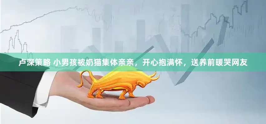 卢深策略 小男孩被奶猫集体亲亲，开心抱满怀，送养前暖哭网友