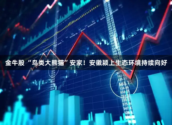金牛股 “鸟类大熊猫”安家！安徽颍上生态环境持续向好