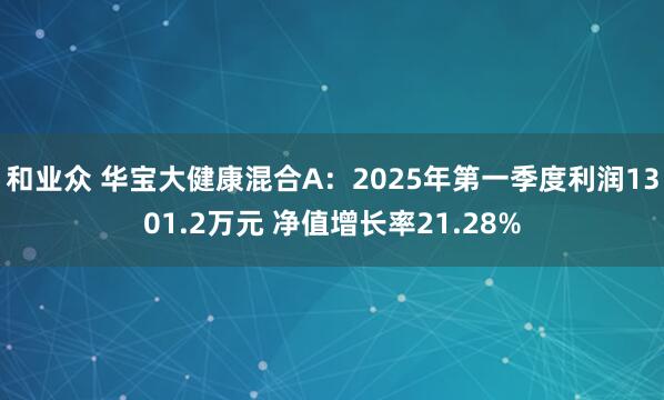 和业众 华宝大健康混合A：2025年第一季度利润1301.2万元 净值增长率21.28%